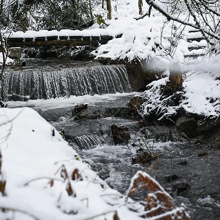 Sleep Space 35 - Tiny Village Harz Casa de Férias Osterode am Harz