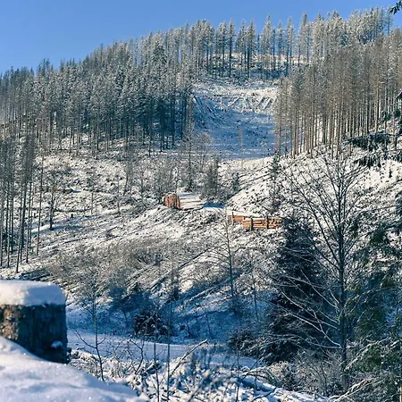 Дом отдыха Sleep Space 35 - Tiny Village Harz Osterode am Harz